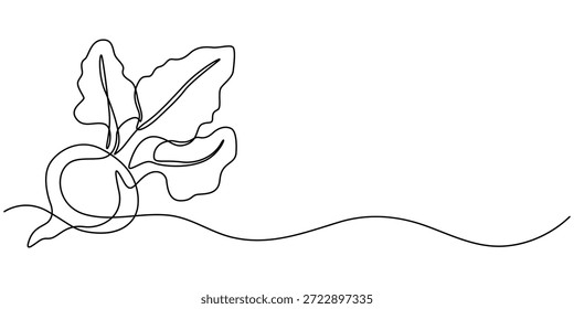 Um único desenho de linha contínua de uma beterraba ou rabanete em um fundo branco Vetor, ilustração
