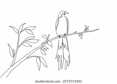 Single continuous line drawing the bird of paradise perched on a tree branch with leaves. A cheerful morning with birds chirping. International Dawn Chorus Day. One line design vector illustration