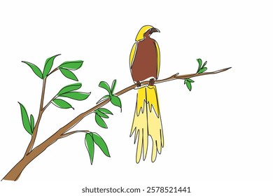 Single continuous line drawing the bird of paradise perched on a tree branch with leaves. A cheerful morning with birds chirping. International Dawn Chorus Day. One line design vector illustration