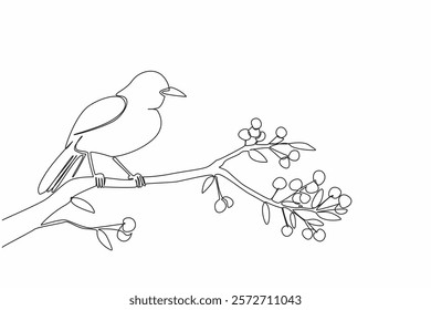 Single continuous line drawing blackbird perched on tree branch with leaves and small fruits. Brighten up the morning with chirping. International Dawn Chorus Day. One line design vector illustration