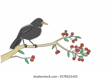 Single continuous line drawing blackbird perched on tree branch with leaves and small fruits. Brighten up the morning with chirping. International Dawn Chorus Day. One line design vector illustration