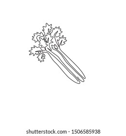 Single continuous line drawing of bunch healthy organic green celery for farm logo identity. Fresh marshland plant concept for vegetable icon. Modern one line draw design graphic vector illustration