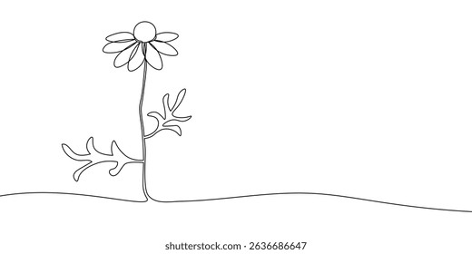 Single continuous line drawing of a chamomile flower with leaves and stem on a simple ground line. Minimalistic botanical illustration. Nature and floral concept for design and print. Vector illust