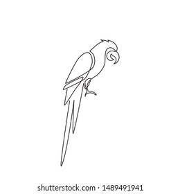 Single continuous line drawing of cute adorable parrot bird with long tail for logo identity. Wing feather animal mascot concept for national zoo icon. One line draw graphic design vector illustration