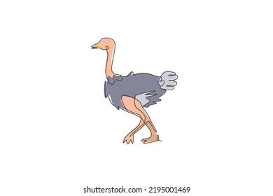 Single continuous line drawing of cute big ostrich bird. Endangered animal national park conservation. Safari zoo concept. Trendy one line draw design graphic vector illustration