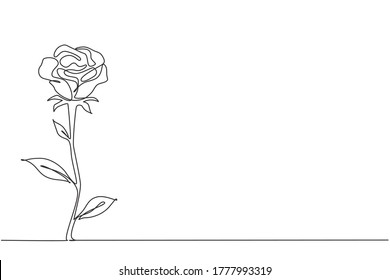 Dibujo de una línea continua de hermosa y fresca flor de rosa. Tarjeta de saludo, invitación, logotipo, banner, concepto de afiche. Ilustración vectorial de diseño de dibujo gráfico de una línea moderna