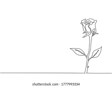 Single continuous line drawing of fresh romantic beautiful rose flower. Greeting card, invitation, logo, banner, poster concept. Trendy one line draw graphic design vector illustration