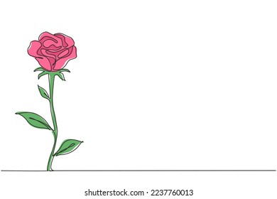 Single continuous line drawing of fresh romantic beautiful rose flower. Greeting card, invitation, logo, banner, poster concept. Modern one line graphic draw design vector illustration
