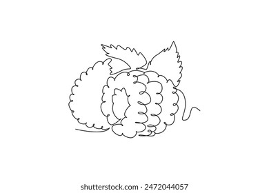 Single continuous line drawing half sliced healthy organic raspberry for orchard logo identity. Fresh berries fruitage concept for fruit garden icon. One line draw graphic design vector illustration