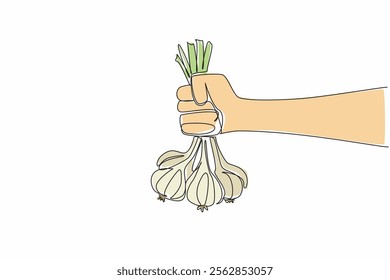 Single continuous line drawing hand holding a bunch of garlic with stems. Garlic farmers show off their best harvest. Ready to be marketed. National Garlic Day. One line design vector illustration