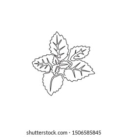 Single continuous line drawing of healthy organic mint leaves for farm logo identity. Fresh mentha plant concept for plantation icon. Modern one line draw design graphic vector illustration