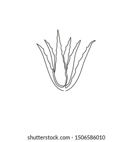 Single continuous line drawing of healthy organic green aloe vera for farm logo identity. Fresh tropical succulent plant concept for agricultural icon. Modern one line draw design vector illustration