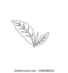 Single continuous line drawing healthy organic tea leaves for plantation logo identity. Fresh tender bud of tea shoot concept for tea leaf icon. Modern one line draw graphic design vector illustration