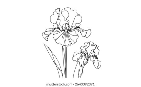 Dessin unique en ligne continue d'une fleur d'iris avec un accent à l'aquarelle violette. Style minimaliste, composition élégante et épurée.