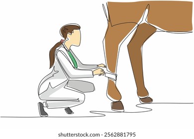 Single continuous line drawing a leg of horse is being bandaged by crouching female veterinarian. Done carefully. Fear of going berserk. National Help A Horse Day. One line design vector illustration