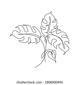 Monstera Leaf Line Drawing High Res Stock Images Shutterstock