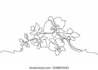 Uma única linha contínua desenhando flor de orquídea. Plantas utilizadas para perfumes. Aliviar o excesso de estresse. Adicionando beleza ao interior da sala. Dia Nacional das Orquídeas. Ilustração de vetor de design de uma linha