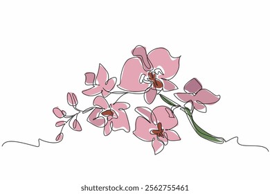 Single continuous line drawing orchid flower. Plants used for perfume. Relieving excess stress. Adding beauty to the interior of the room. National Orchid Day. One line design vector illustration