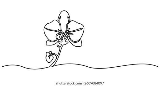 Single continuous line drawing orchid flower. Hand drawn orchid flowers. Minimalist art vector minimalism. Adding beauty to the interior of the room. One line design vector illustration.