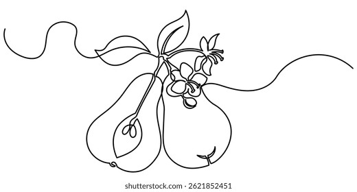 Single continuous line drawing of pear. pear with a leaf on a white background.Slices, whole and half fruits.	