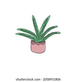 Single continuous line drawing of potted snake plant for home decor logo identity. Fresh evergreen perennial plant concept for  plant icon. Modern one line draw design graphic vector illustration