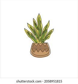 Single continuous line drawing of potted snake plant for home decor logo identity. Fresh evergreen perennial plant concept for  plant icon. Modern one line graphic draw design vector illustration