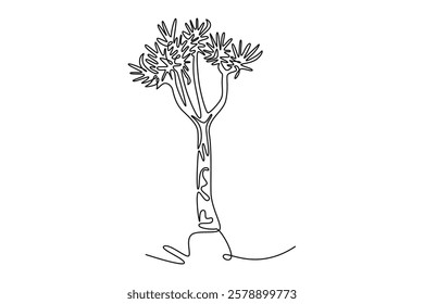 Single continuous line drawing quiver tree forest. Decorative aloidendron dichotomum for home decor wall art poster print. Tourism and travel series. One line draw graphic design vector illustration