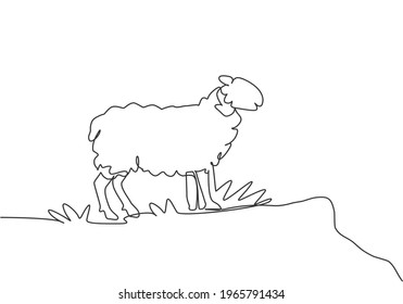 Single continuous line drawing of the sheep were standing on the edge of the meadow looking for food. Successful farming minimalism concept. Dynamic one line draw graphic design vector illustration.