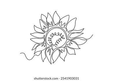 Single continuous line drawing sunflower seen close up. Details and patterns are visible. Flower symbol of loyalty. Flower spiritual guidance. Kansas Day. One line graphic design vector illustration