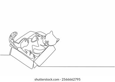 Single continuous line drawing tabby cat is sleeping in a cardboard box. Adorable behavior even when sleeping. Play and sleep place. Domestic. National Tabby Day. One line design vector illustration