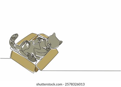 Single continuous line drawing tabby cat is sleeping in a cardboard box. Adorable behavior even when sleeping. Play and sleep place. Domestic. National Tabby Day. One line design vector illustration