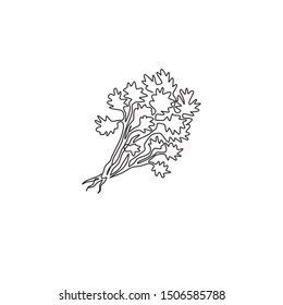 Single continuous line drawing of tied bunch healthy organic coriander leaf for logo identity. Fresh cilantro concept for vegetable icon. Modern one line draw design vector graphic illustration