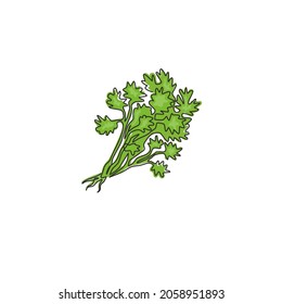 Single continuous line drawing of tied bunch healthy organic coriander leaf for logo identity. Fresh cilantro concept for vegetable icon. Modern one line draw design vector graphic illustration