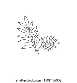 Single continuous line drawing of tropical leaves plant. Printable poster decorative houseplant concept for home wall decor wallpaper ornament. Modern one line draw design graphic vector illustration