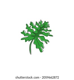 Single continuous line drawing tropical leaf plant. Printable decorative philodendron selloum houseplant concept for home wall decor ornament. Modern one line draw graphic design vector illustration