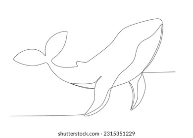 Single continuous line drawing whale. Wild whale killer fish swimming in sea life. One line draw graphic design vector illustration