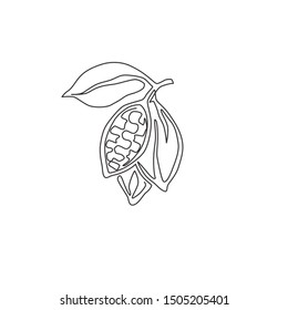 Single continuous line drawing of whole healthy organic cocoa bean for plantation logo identity. Fresh cacao concept for chocolate shop icon. Modern one line draw design vector graphic illustration