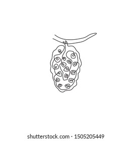 Single continuous line drawing whole healthy organic tropical noni for orchard logo identity. Fresh fruit bearing tree concept for garden icon. Modern one line draw design vector graphic illustration