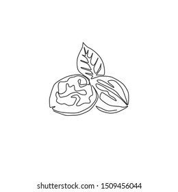 Single continuous line drawing whole healthy organic walnut and leaves for orchard logo identity. Fresh nutshell concept for healthy seed icon. Modern one line draw design vector graphic illustration