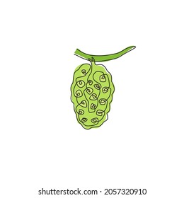 Single continuous line drawing whole healthy organic tropical noni for orchard logo identity. Fresh fruit bearing tree concept for garden icon. Modern one line draw design vector graphic illustration
