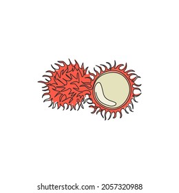 Single continuous line drawing whole and sliced healthy organic rambutans for orchard logo identity. Fresh hairy fruit concept for garden icon. Modern one line draw design vector graphic illustration