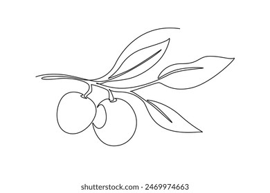 Single continuous line drawing whole healthy organic longan on tree stalk for garden logo identity. Fresh fruit concept for fruit garden icon. Dynamic one line draw graphic design vector illustration