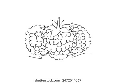 Una sola línea continua que dibuja frambuesa orgánica entera sana para la identidad del logotipo del huerto. Concepto de fruta de baya fresca para el icono de jardín de frutas. Ilustración vectorial de Diseño gráfico de dibujo dinámico de una línea