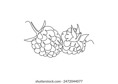 Single continuous line drawing whole healthy organic raspberry for orchard logo identity. Fresh berry fruitage concept for fruit garden icon. Dynamic one line draw graphic design vector illustration