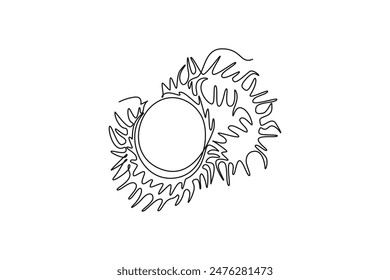 Single continuous line drawing whole and sliced healthy organic rambutans for orchard logo identity. Fresh hairy fruit concept for garden icon. Dynamic one line draw graphic design vector illustration