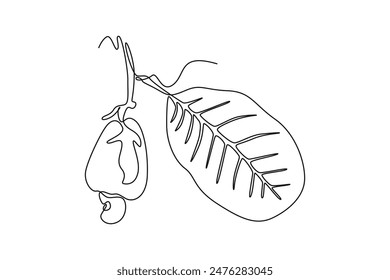 Single continuous line drawing whole healthy organic cashew apple on stack tree for orchard logo identity. Fresh Brazilian caju for fruit garden icon. One line draw graphic design vector illustration