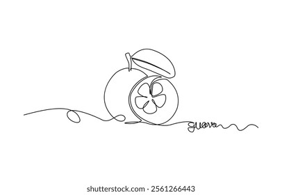 Single continuous line drawing whole and half sliced healthy organic java guava for orchard logo identity, Single one line drawing fruits concept. Continuous line draw design vector illustration.