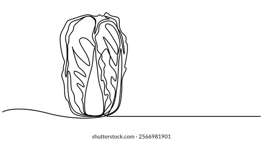 Single continuous line drawing whole and cut sliced healthy organic headed cabbage for farm logo identity, Chinese cabbage in continuous line art drawing style. Bok choy (pak choi) black linear sketch