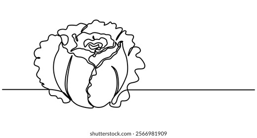 Single continuous line drawing whole and cut sliced healthy organic headed cabbage for farm logo identity, Chinese cabbage in continuous line art drawing style. Bok choy (pak choi) black linear sketch