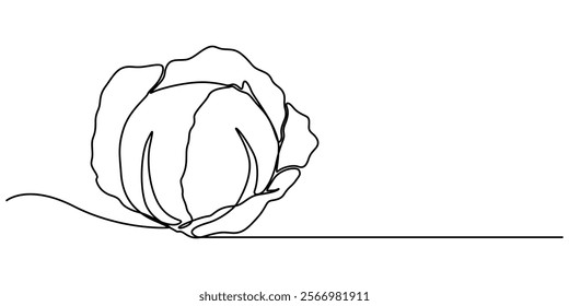 Single continuous line drawing whole and cut sliced healthy organic headed cabbage for farm logo identity, Chinese cabbage in continuous line art drawing style. Bok choy (pak choi) black linear sketch